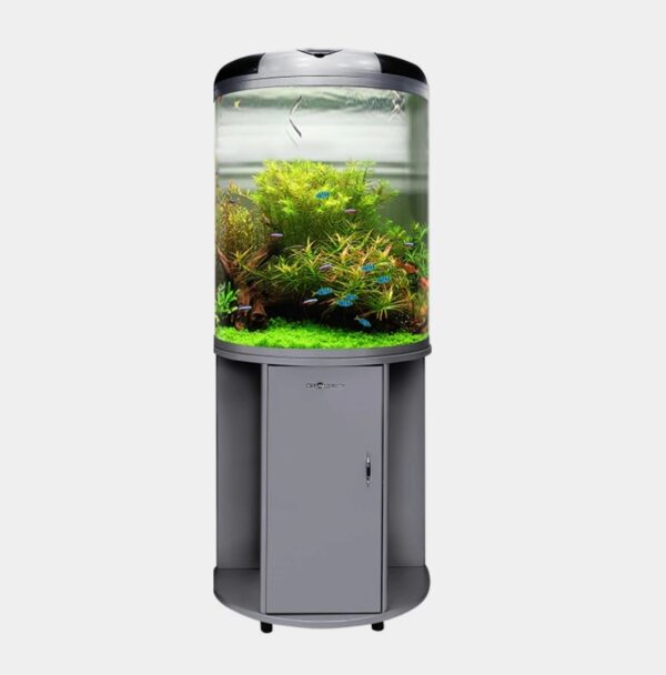 Acuario curvo minjiang - Imagen 4